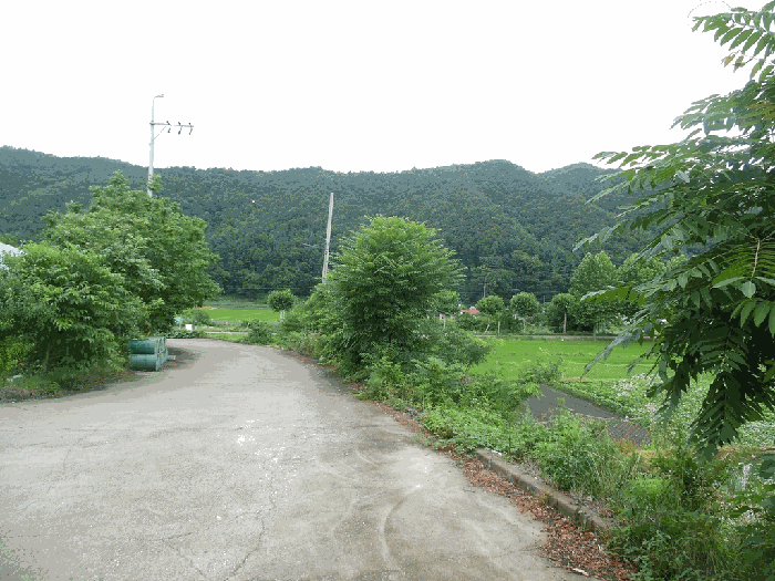 일련번호9,10 전경