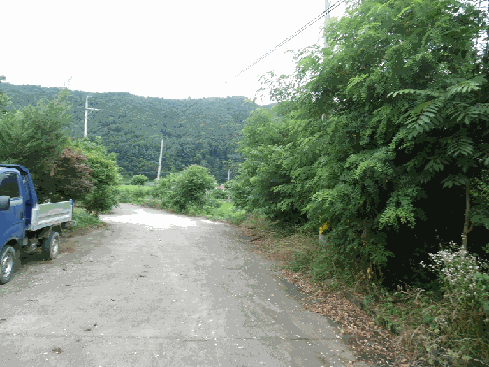 일련번호11 전경