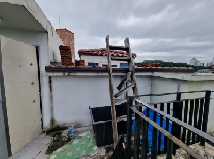 옥상(제시외 건물)