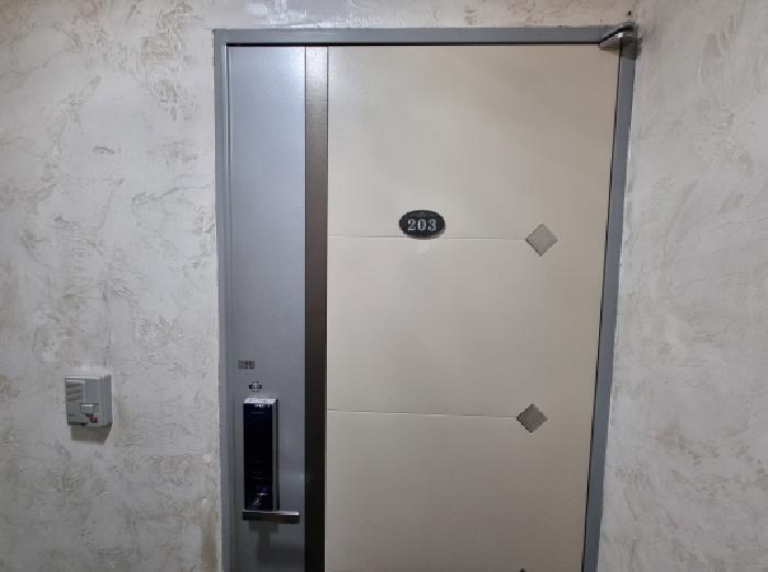 203호 현관문