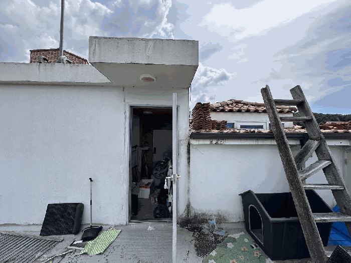 제시외건물㉣ 전경