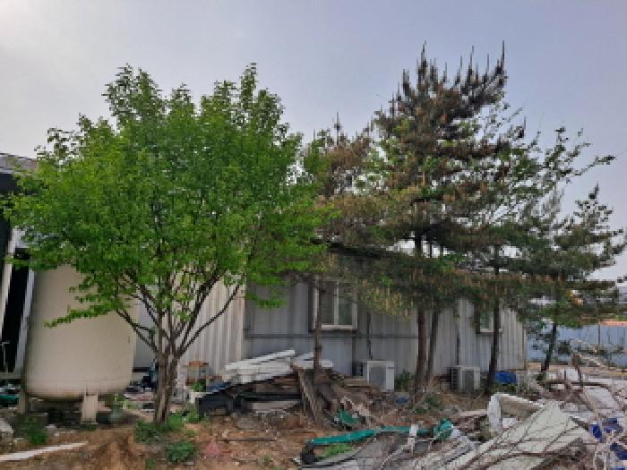 동북쪽 경계부분 수목 등