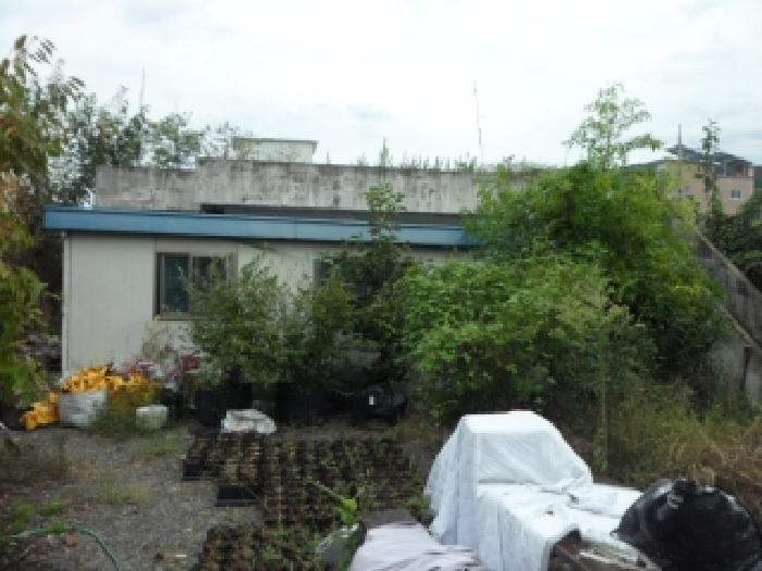 제시외건물(주택)