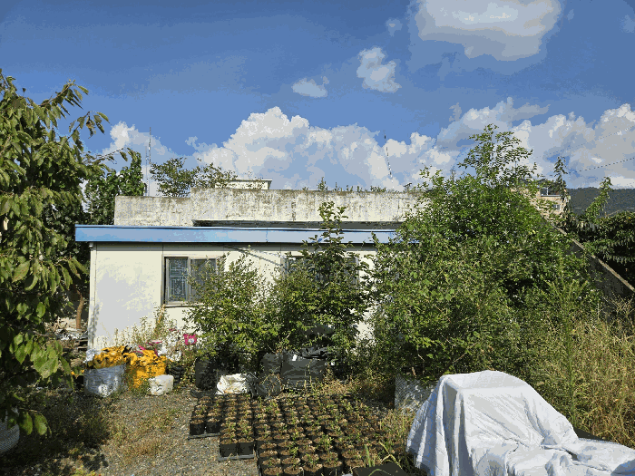 제시외건물 ㄱ 전경