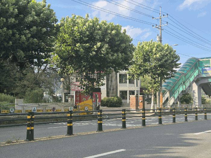 본건 기호(1) 전경