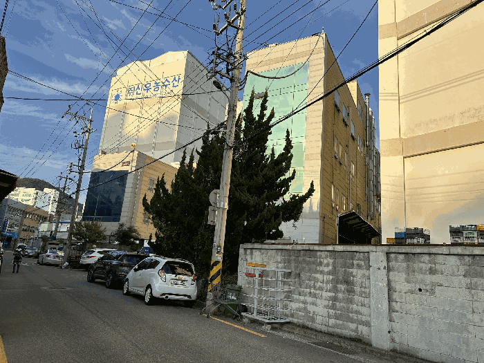 본건 및 부근전경