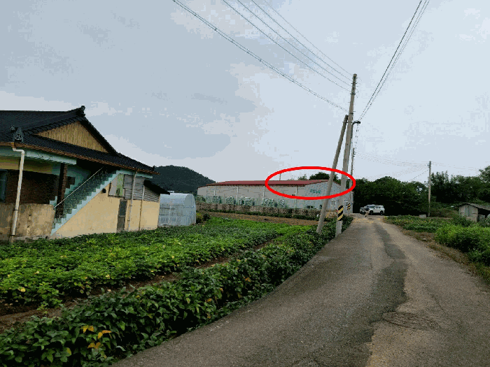 본건 및 주변전경