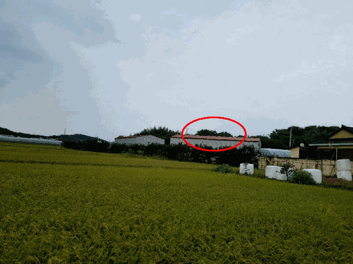 본건 및 주변전경