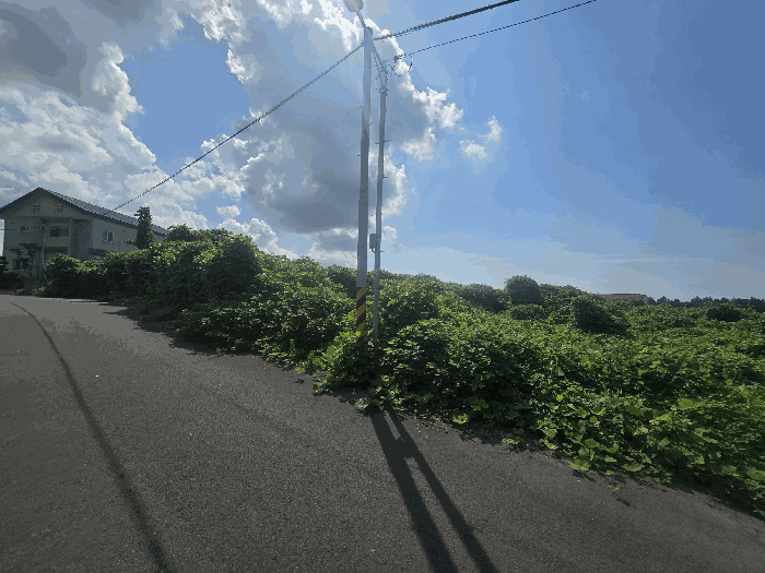 본건 전경