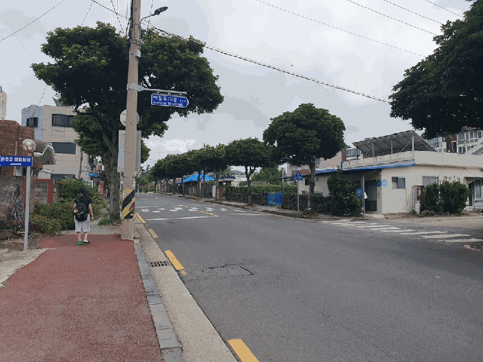 인접도로 및 주위환경