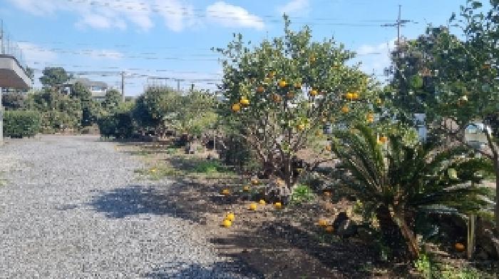 소재지1(남원리 2408) 전경2