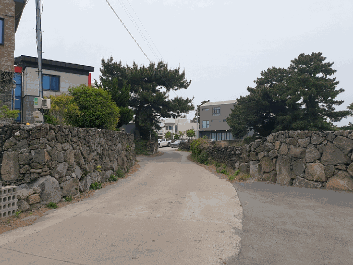 인접도로 및 주위환경