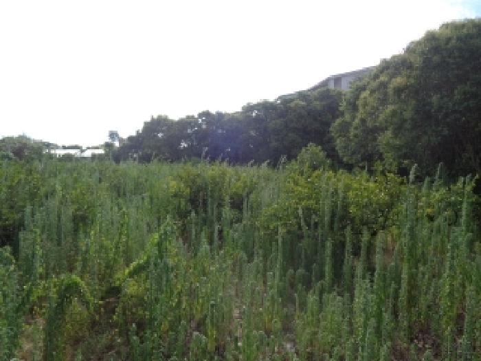 소재지 2.(보