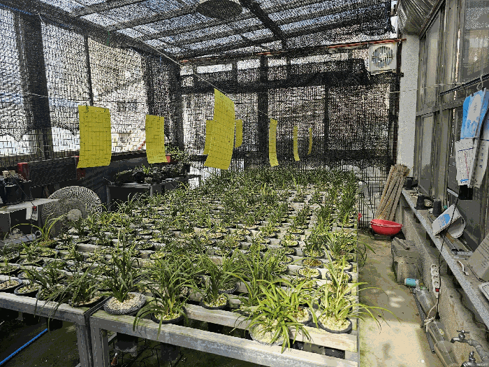 제시외건물 ㅊ) 내부