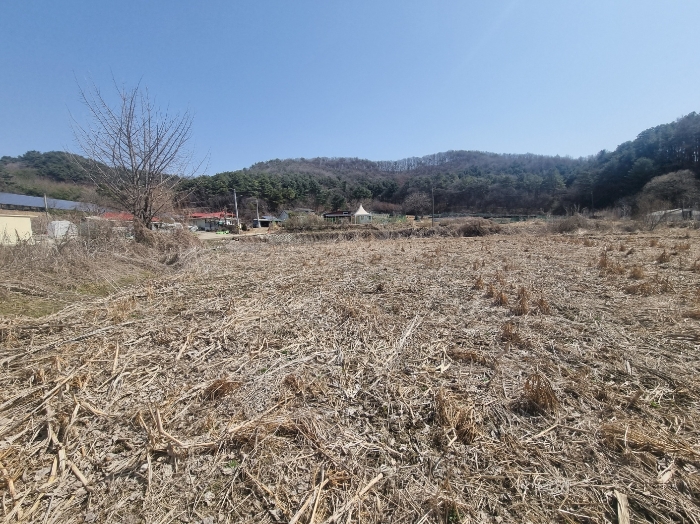 감정서 표지사진