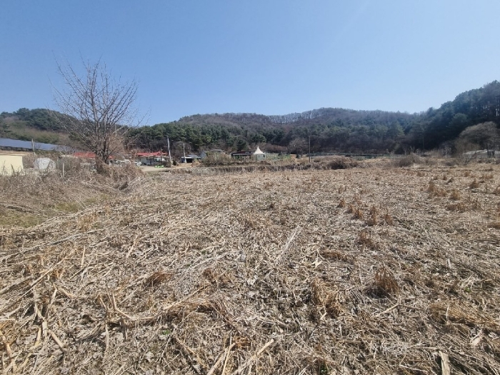 본 건 전경