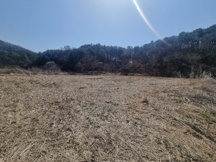 기호(1) 전경