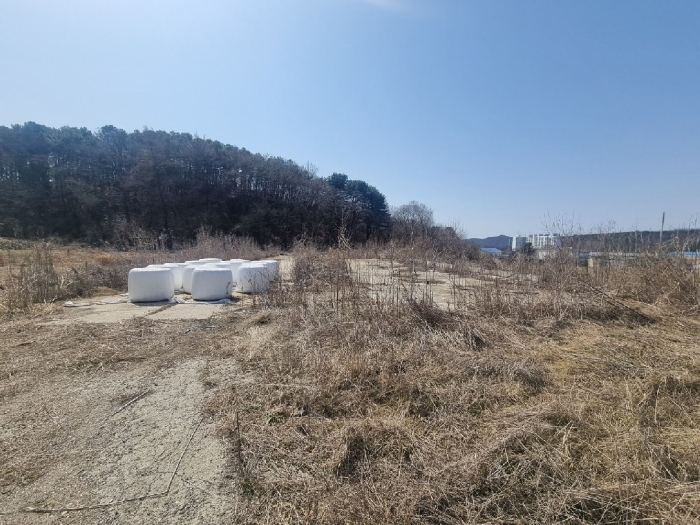 기호(7) 전경