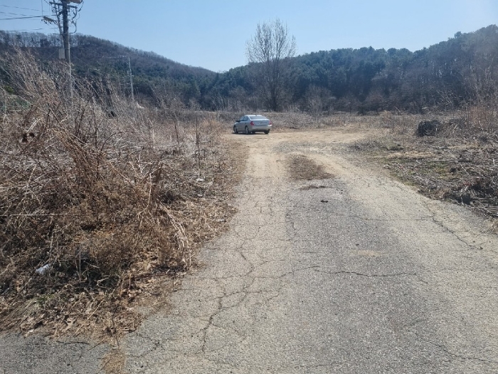 기호(19) 전경