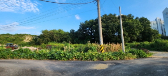 목록 부동산 원거리 전경1