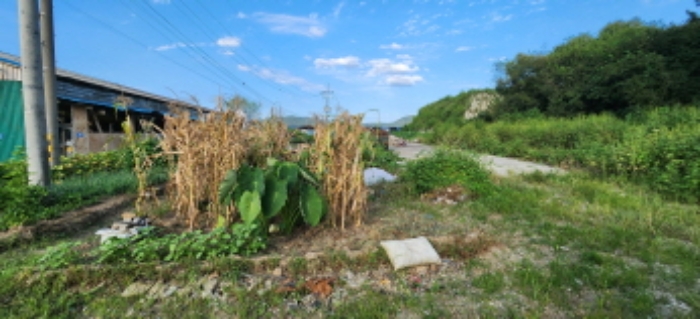 목록3 토지 전경1