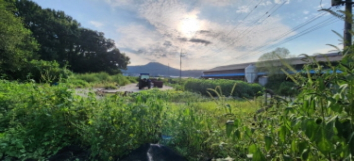 목록3 토지 전경2