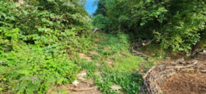 목록4 토지 전경