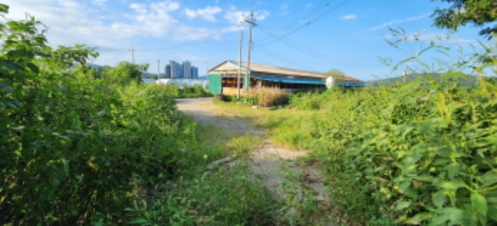 목록5 토지 전경1