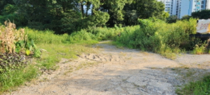 목록5 토지 전경2