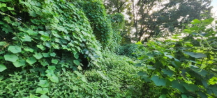 목록6 토지 전경1