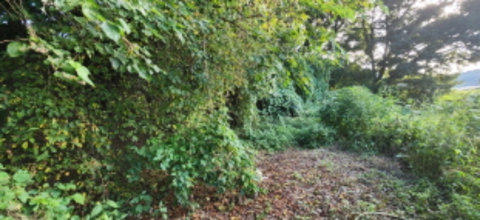 목록6 토지 전경2