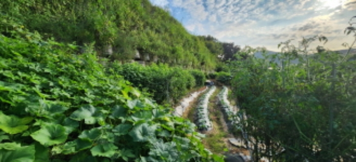 목록7 내지 목록8 토지 전경1