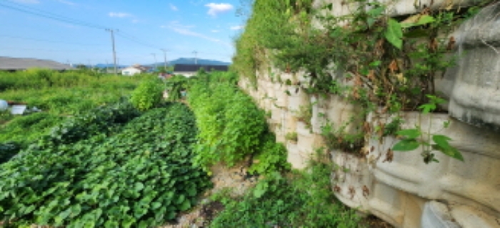 목록7 내지 목록8 토지 전경2