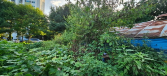 목록9 토지 전경1