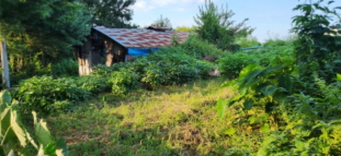 목록9 토지 전경2