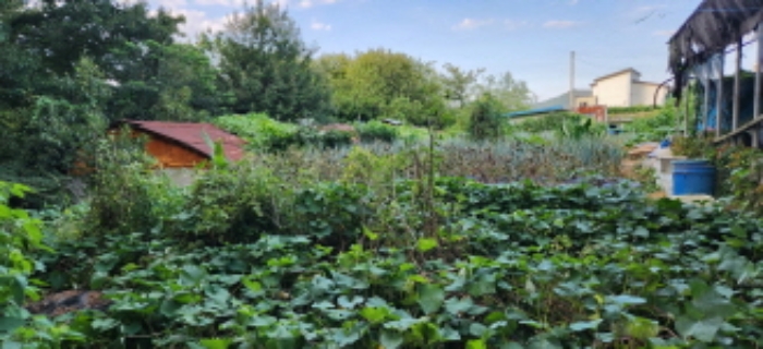 목록10 토지 전경1