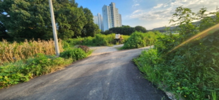 목록 부동산 진입로 전경