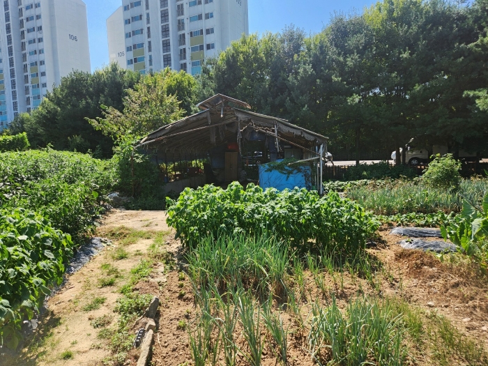 기호(9),(10) 및 (11-3)