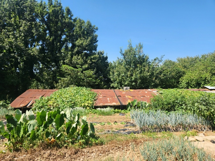 제시외건물(ㄱ)