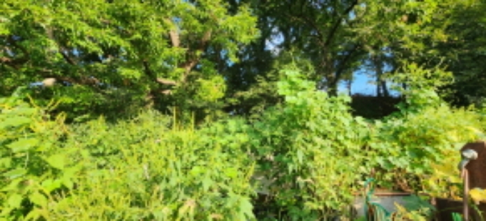 목록1 토지 전경1