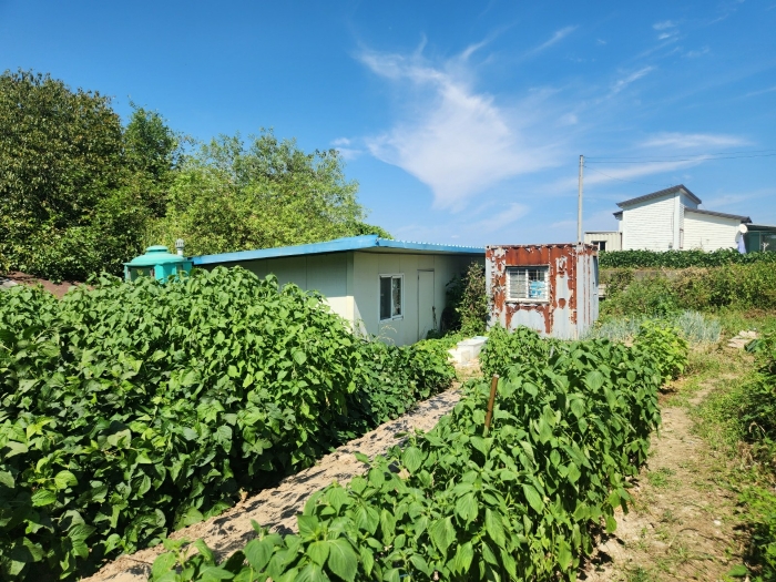 제시외건물(ㄴ) 및 지상 컨테이너 등