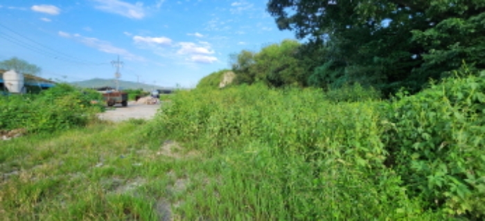 목록1 토지 전경2