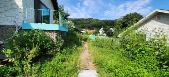 본건 부동산 전경6