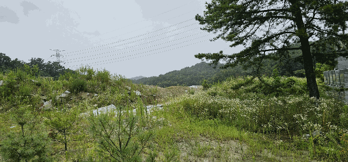 기호 8,11,15,16 토지(2)