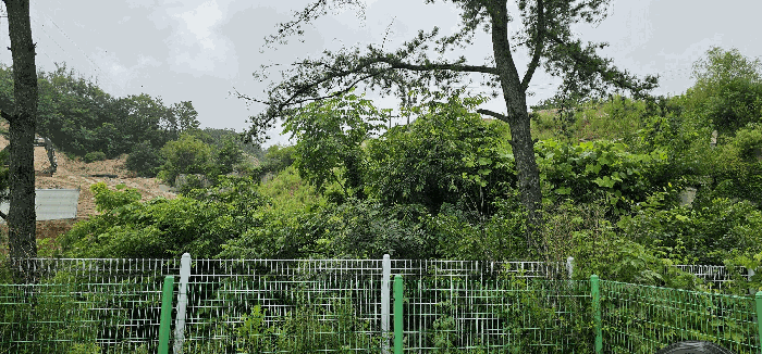 기호 9,10,12,17 토지