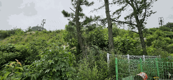 기호 9,10,12 토지