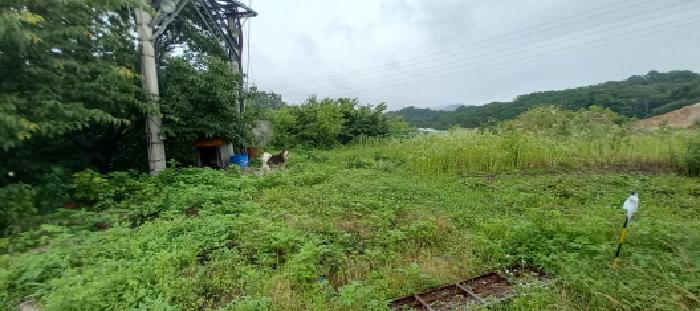 목록1., 목록2., 목록7., 목록9.,  목록10., 목록12., 목록14., 목록16. 토지 전경