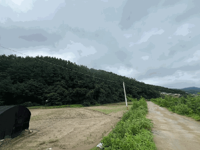 본건주변전경