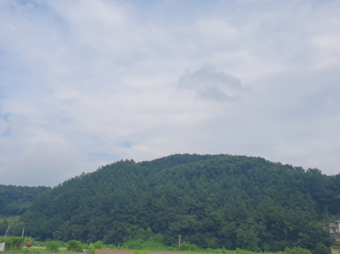 목록 전경