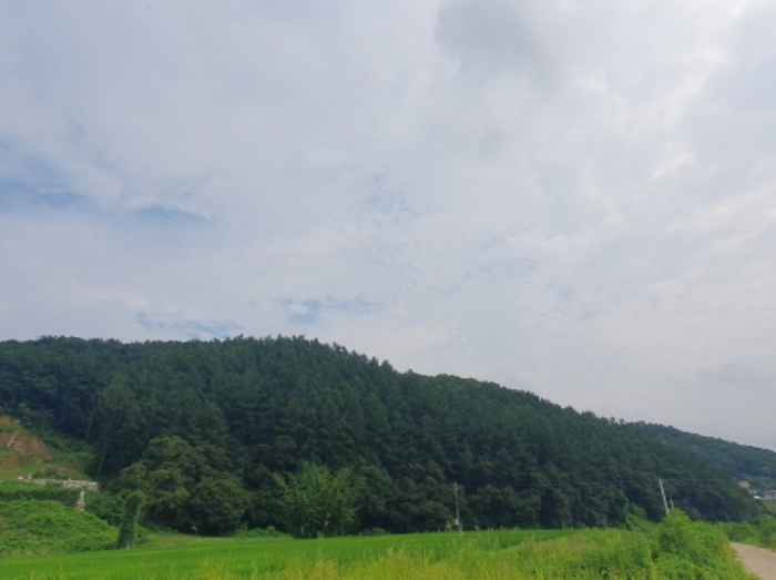 목록 전경